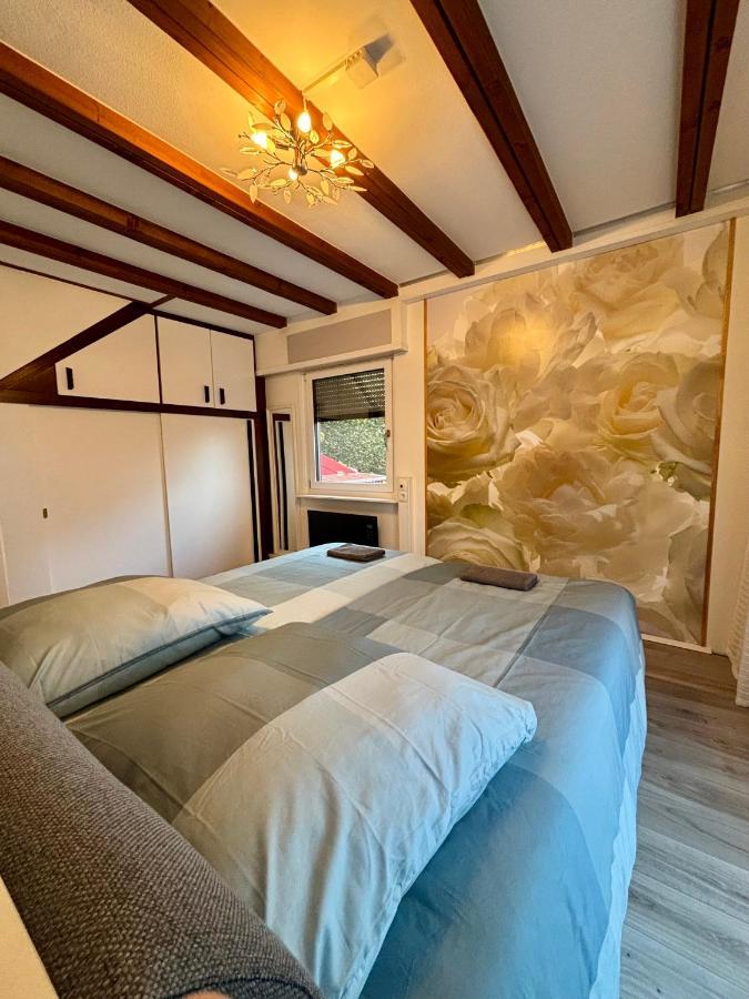 Ferienhaus Veronika Odenwald Brensbach Ngoại thất bức ảnh